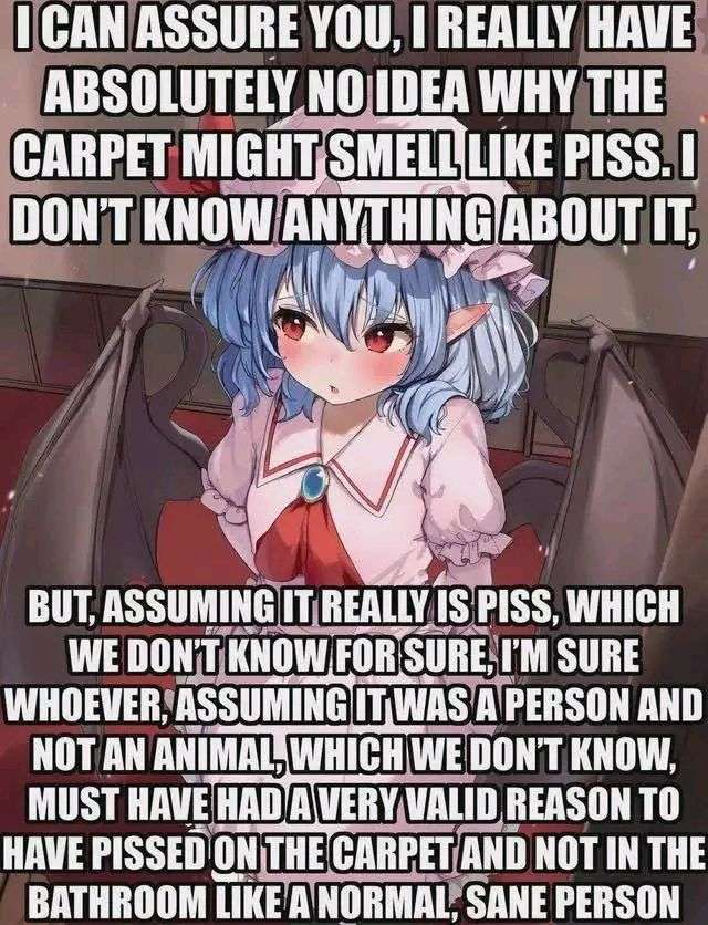 remilia scarlet and remilia scarlet pisses on the carpet why (touhou)